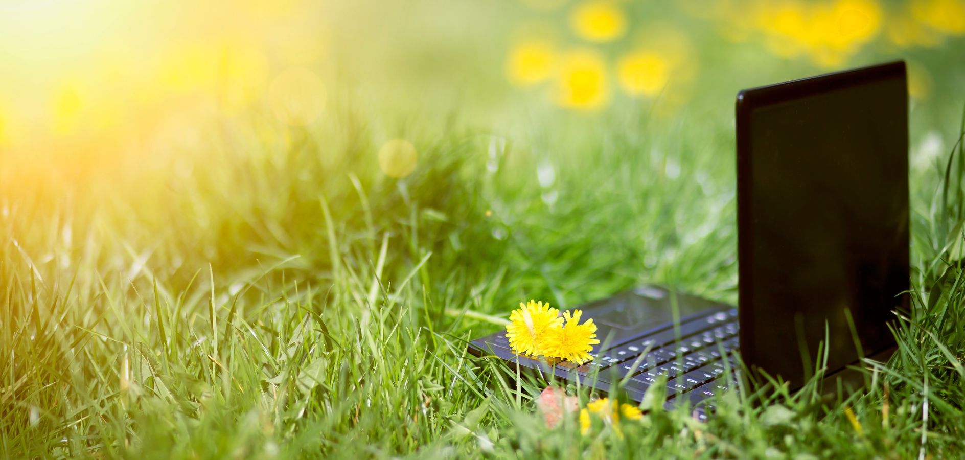 12 cursos per a formar-te aquest estiu