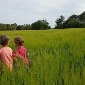 8 beneficis del joc lliure a la natura per als infants