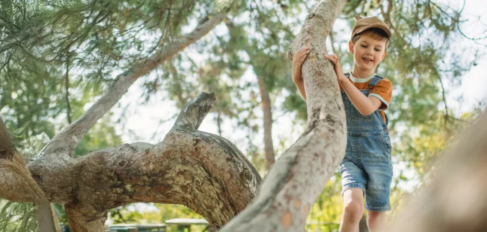 Foto infant a un arbre per il·lustrar la Microcredencial Petita infància el joc lliure a la natura